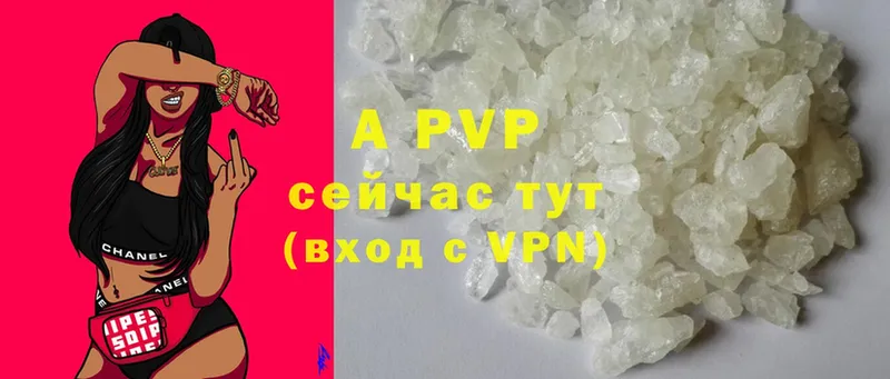 A PVP СК КРИС  Новоалександровск 